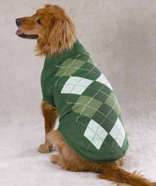 Green checkered sweater