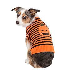 Halloween pumpkin sweater